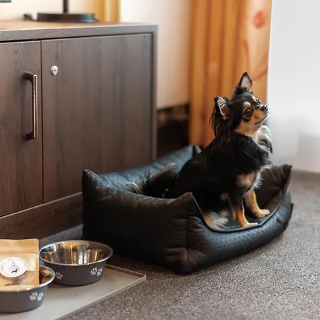 شقة Maisonette-apartment An Der Frauenkirche