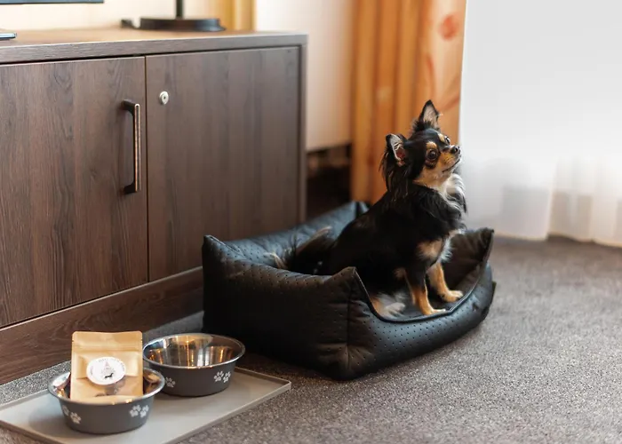 شقة Maisonette-apartment An Der Frauenkirche